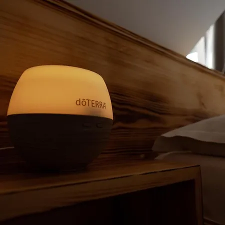 Gæstehus Tihuta Retreat Piatra Fantanele