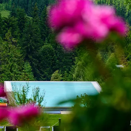 Tihuta Retreat Gæstehus Piatra Fantanele